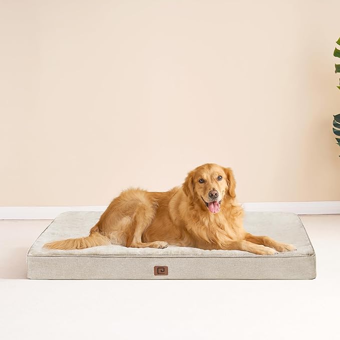 EHEYCIGA Waterproof Dog Bed Orthopedic 47"x29", Memory Foam Pet Bed for XXLarge Dog Bed, Washable Pet Mat with Removable Cover, Beige