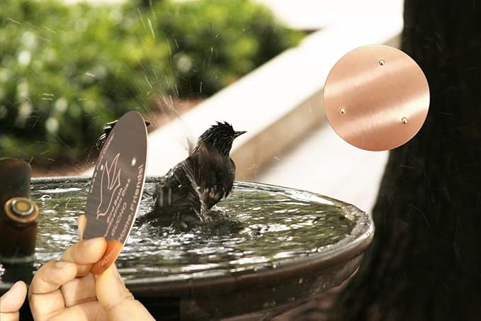 GUCHO Bird Bath Copper Disk,Bird Bath Purification Disk,0.6mm Thickness 99.99% Pure Copper for Physical Safe Water Cleaning All-Seasons,Universal Fit for Outdoor Backyard Birdbaths Bowl