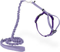 PetSafe Come With Me Kitty Cat Harness & Bungee Leash - Comfortable Cat Harness with Lightweight Bungee Leash for Outdoor Fun - More Secure Walks - Small - Lilac