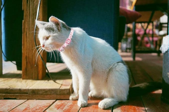 Breakaway Cat Collar with Bell, 2 Pack of Adjustable Floral Cat Collars Cute Safety Purple Pink Kitty Strawberry Collar