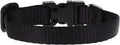 LupinePet Basics 1/2" Black 6-9" Adjustable Collar for Extra Small Dogs