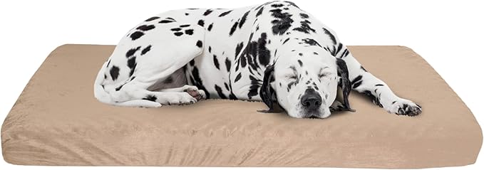 Memory Foam Dog Bed - 2-Layer Orthopedic Pet Pad with Machine Washable Cover - 37x24 Pet Bed for Large Dogs by PETMAKER (Tan)