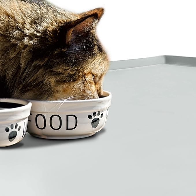 Dog Food Mat,Silicone Waterproof Food Tray,Non Slip Pet Bowl Mats Placemat,0.6" Raised Edge,Suitable for Most Small and Medium Sized Pets,18.5" x 11.5"
