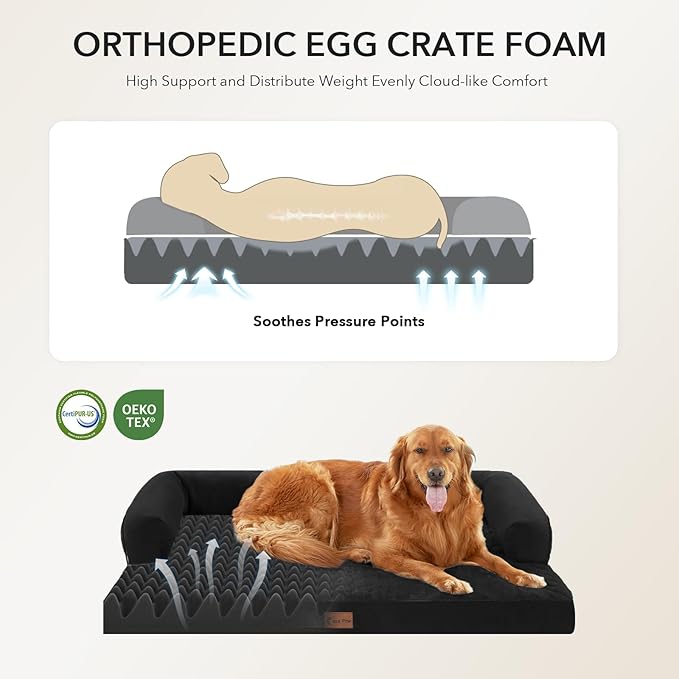 Orthopedic Dog Beds for Large Sized Dogs, Waterproof Egg Crate Foam Medium Dog Couch Beds for Crate 35x22Inch, Washable Pet Beds with Removable Cover and Nonskid Bottom, Black