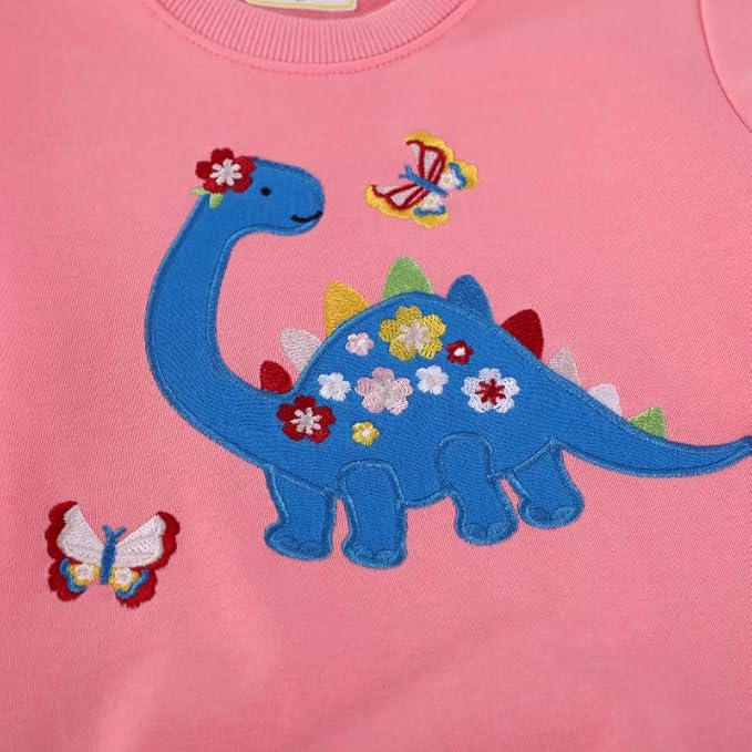 Toddler Baby Girls Cotton Sweater, Long Sleeve Crewneck Sweatshirt Pullover Kids Warm Clothing for Fall Winter