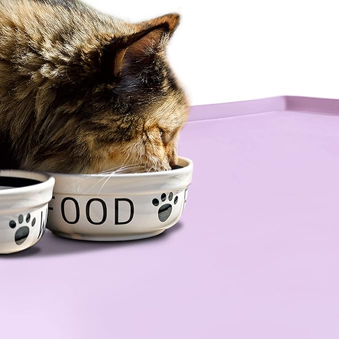 Dog Food Mat,Silicone Waterproof Food Tray,Non Slip Pet Bowl Mats Placemat,0.6" Raised Edge,Suitable for Most Small and Medium Sized Pets,24" x 16"