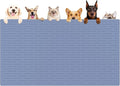 XXXXL Largest Pet Food Mat, 51.2"x25.6"(130cmx65cm) Silicone Dog Mats for Food and Water, Nonslip Pet Feeding Mats for Floors,Dog Cat Bowl Mat with Raised Edges, Lake Blue