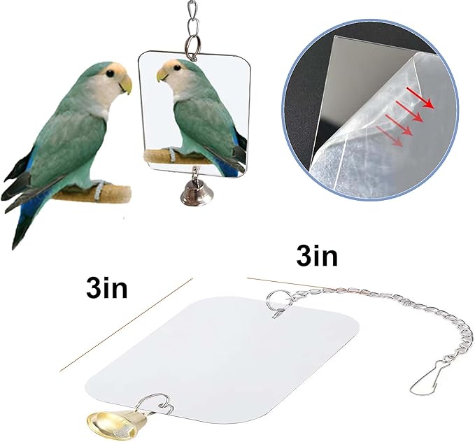 Bird Xylophone with Mirror & Bell Accessories - Musical Training Toy for Conure, Budgie, Cockatiel, Cockatoo, Parakeet, Finch (Bird Xylophone with Mirror)