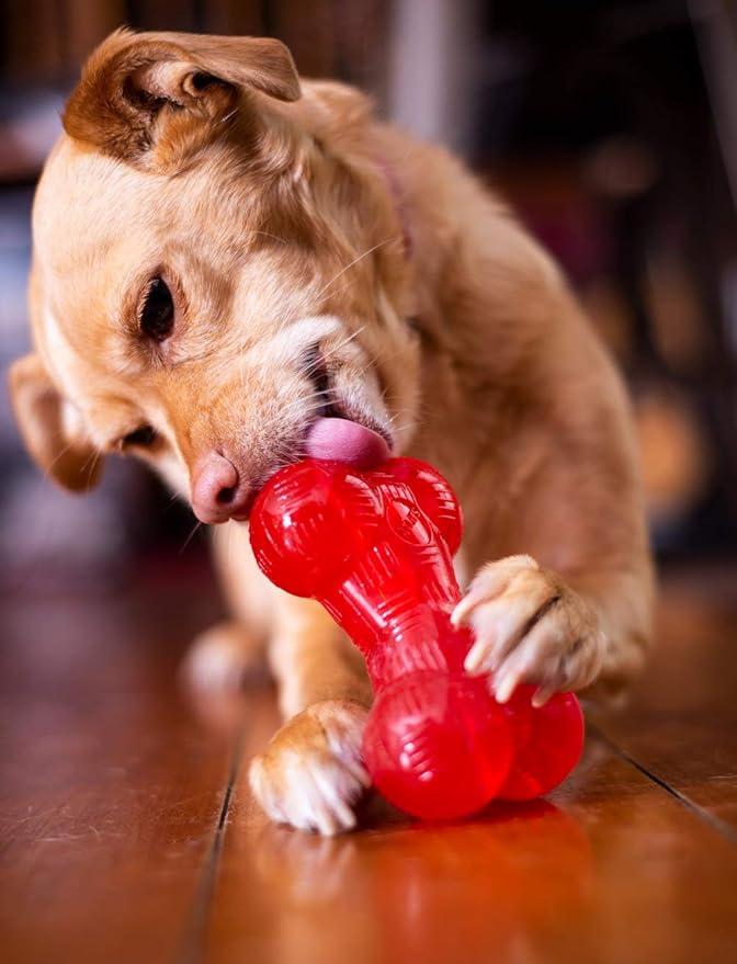 SPOT Play Strong Bone- Durable TPR Long Lasting Dog Chew for Aggressive Chewers, Hole for Treats, Virtually Indestructible Toy for Medium & Large Dogs & Puppies - 6.5 inch