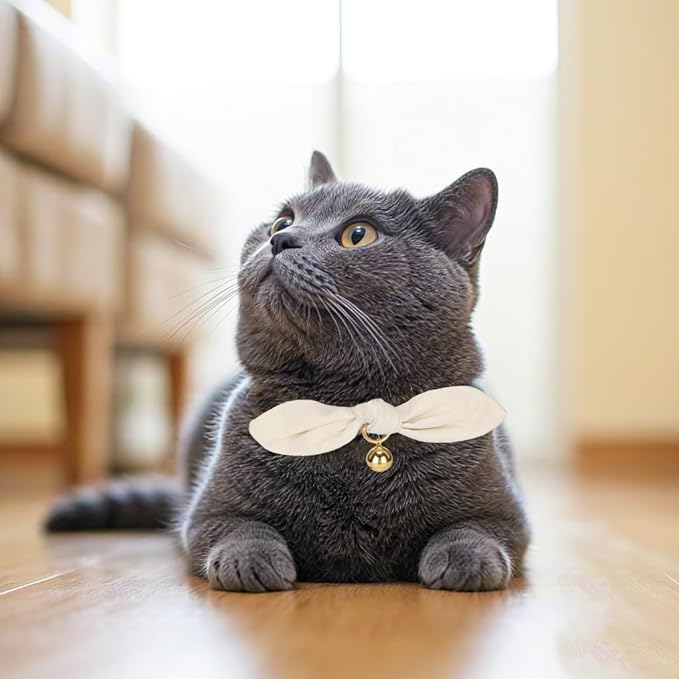 Bunny Ear Cat Collar with Bell and Bow Tie, Breakaway Cute Bowtie Kitten Collars(Cream)