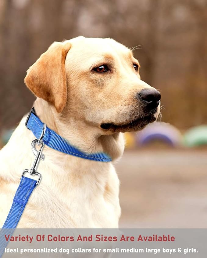 Reflective Dog Collar with Buckle Adjustable Safety Nylon Collars for Small Medium Large Dogs, Navy Blue M