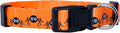 Native Pup Halloween Dog Collar- Spooky Fall Themed Horror Costume Collars- Skull, Pumpkin, Ghost, Bat, Witch, Candy Corn, Spider- Adjustable for Small, Medium, Large Breeds (Small, Spiders)
