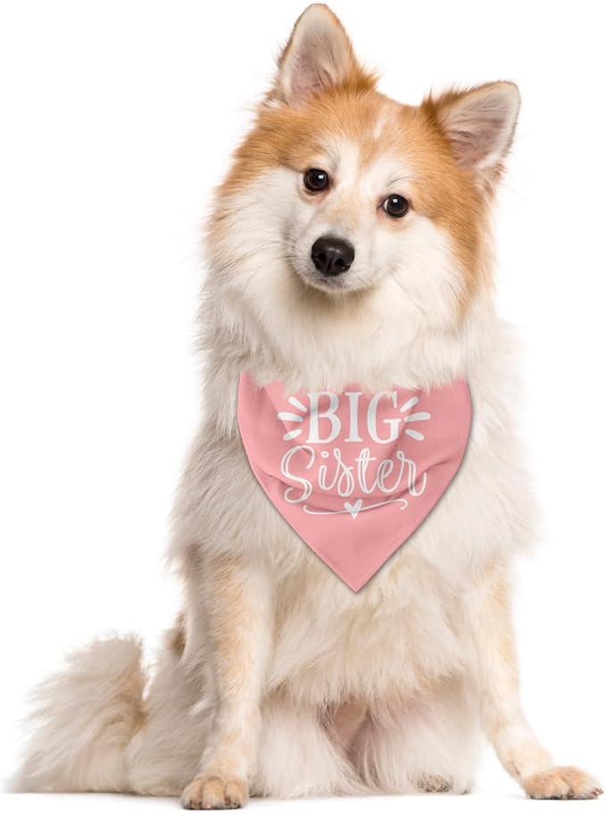 Big Sister Dog Bandana, Pink Pet Dog Scarf Accessories, Pet Triangle Scarf for Small Medium Dogs, Baby Announcement Dogs Bandana (M)