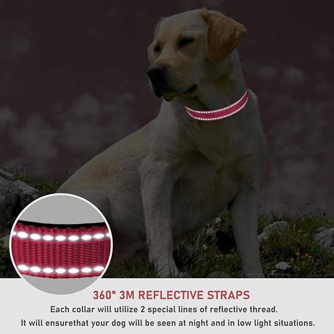 Reflective Dog Collar with Buckle Adjustable Safety Nylon Collars for Small Medium Large Dogs, Light Pink L