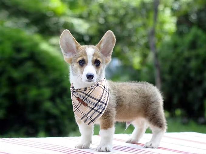 Lionet Paws Dog Bandana Washable Cotton Handkerchief Scarf Triangle Bandana for Small Medium Large Dogs Grey
