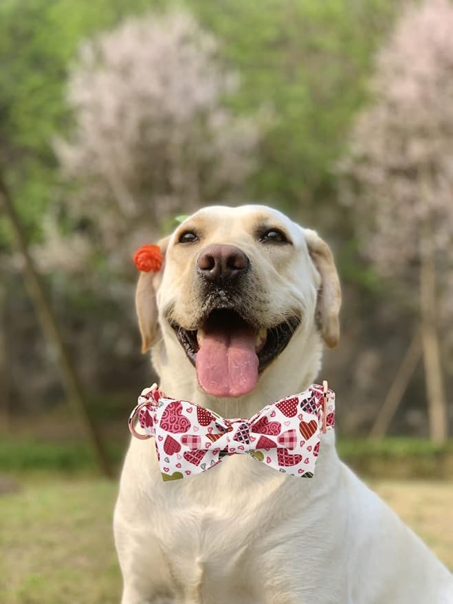 Lionheart glory Heart Dog Collar, Adjustable Dog Collar with Bowtie, Pet Gift Collar for Dog Soft Bowtie Dog Collars for Small Dogs