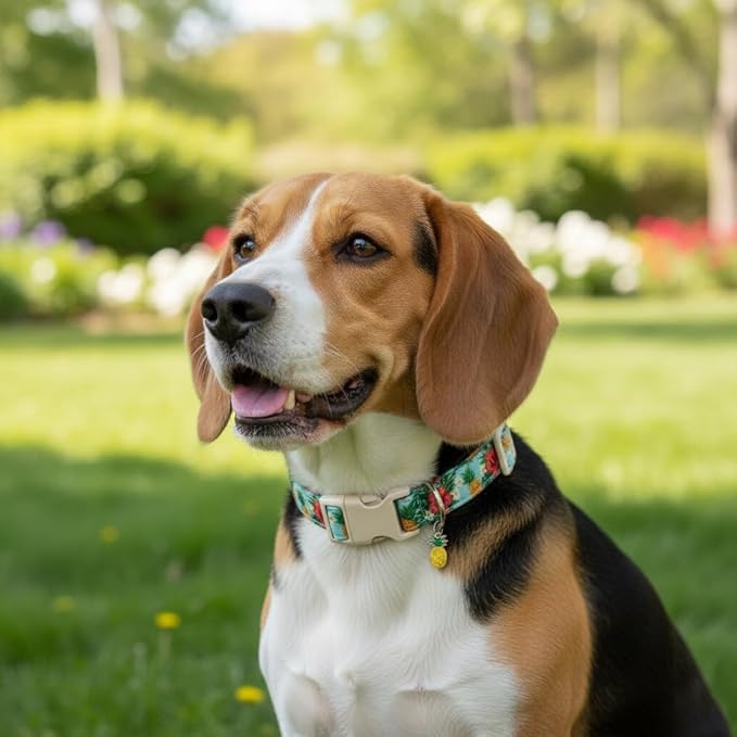 Summer Dog Collar with Tropical Pattern, Cute Dog Collar for Girl Boy Dogs, Pet Collar with Unique Print and Soft Fabric, Suitable for Medium Dogs