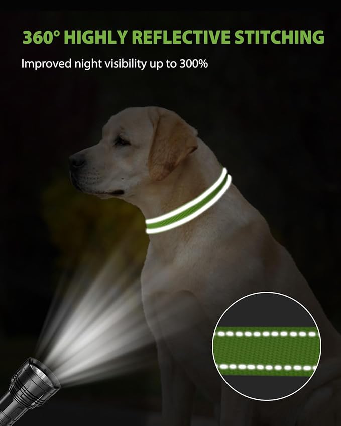 Joytale Reflective Dog Collar, Adjustable Nylon Pet Collar with Quick-Release Buckle for Medium Dogs, Green, M