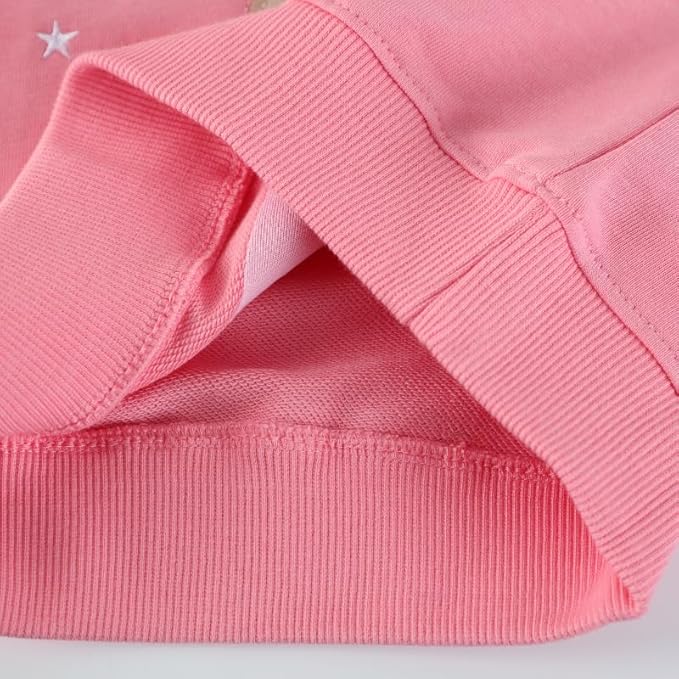 Toddler Baby Girls Cotton Sweater, Long Sleeve Crewneck Sweatshirt Pullover Kids Warm Clothing for Fall Winter