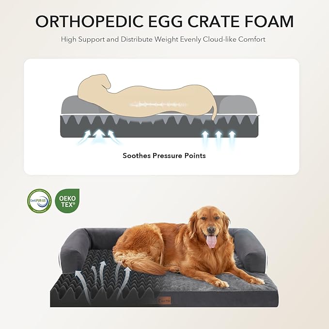 Orthopedic Dog Beds for Extra Large Dogs, Waterproof Egg Crate Foam XL Dog Bed with Sides 45x35Inch, Big Dogs Couch Beds with Removable Washable Cover and Nonskid Bottom, Dark Grey