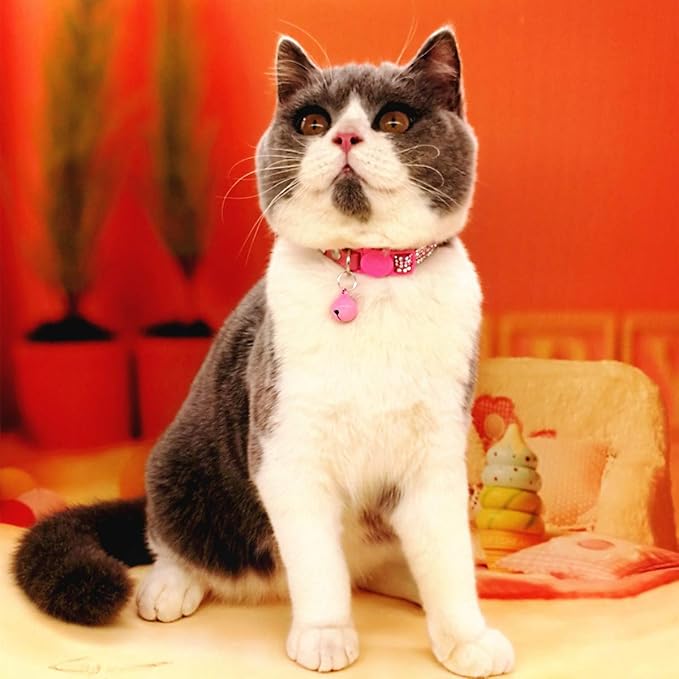 THAIN Basic Adjustable Cat Collar Bling Diamond Breakaway with Bell for Kitten Girl boy (Pink)