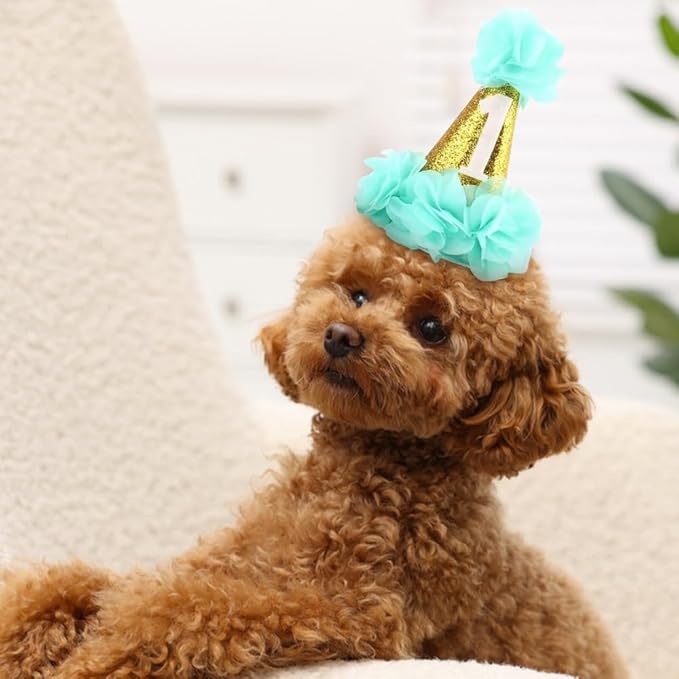 Stock Show 1st Pet Birthday Cone Hat Dogs Cats Holiday Party Hat Headwear Costume with Flowers Accessories and Adjustable Headband for Small Medium Dogs Cats Pets Baby (Blue)