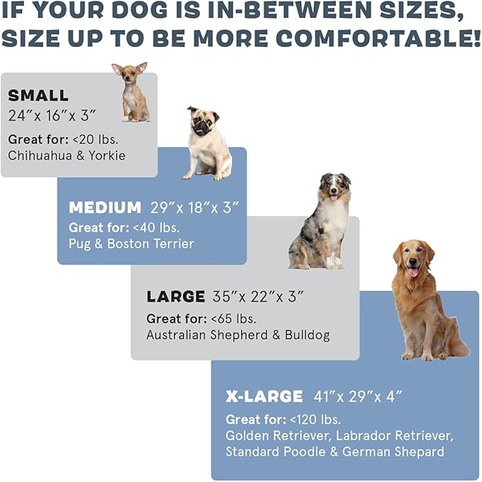 Barkbox Orthopedic Dog Bed | Comfortable Memory Foam Mattress for Joint Relief | Head and Neck Support Waterproof with Non Skid Bottom | Calming Durable Bed with Washable Cover | Large, Stripe