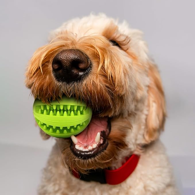 Interactive Pet Toy Balls,Treat Dispensing Ball for Dogs, Dog Balls for Training/Playing/Chewing, Dog Balls for Teeth Cleaning & Massage, Pack of 3 Assorted Colours,3inch/2.5inch/2 inch