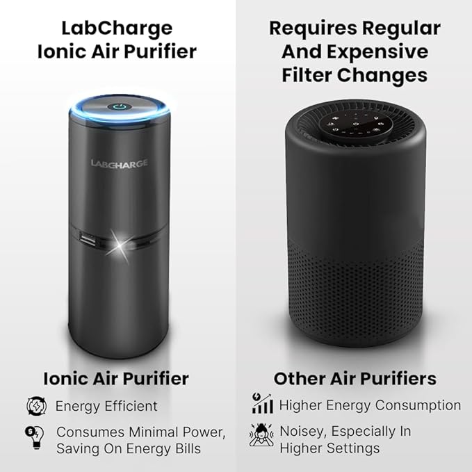 LabCharge Small Ionic Air Purifier for Home & Bedroom – Silent HEPA Filter – Covers 250 Sq Ft - Free Cleaner for Pets, Hair, Smoke, Dust, Odors & Dander – Compact & Black Design - Pack of 2