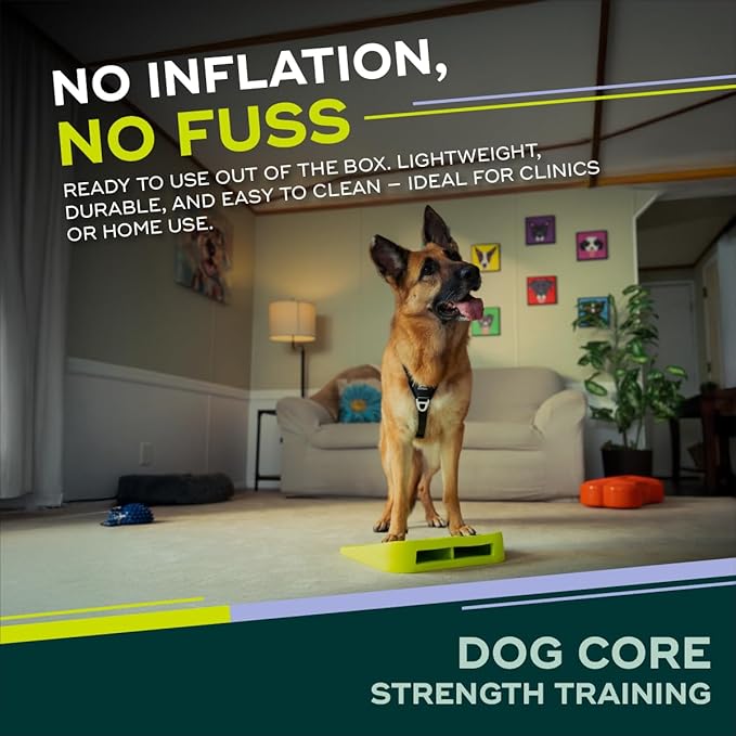 FitPAWS Balance Ramp | Dog Agility Equipment for Balancing, Obedience Training, and Sensory Stimulation