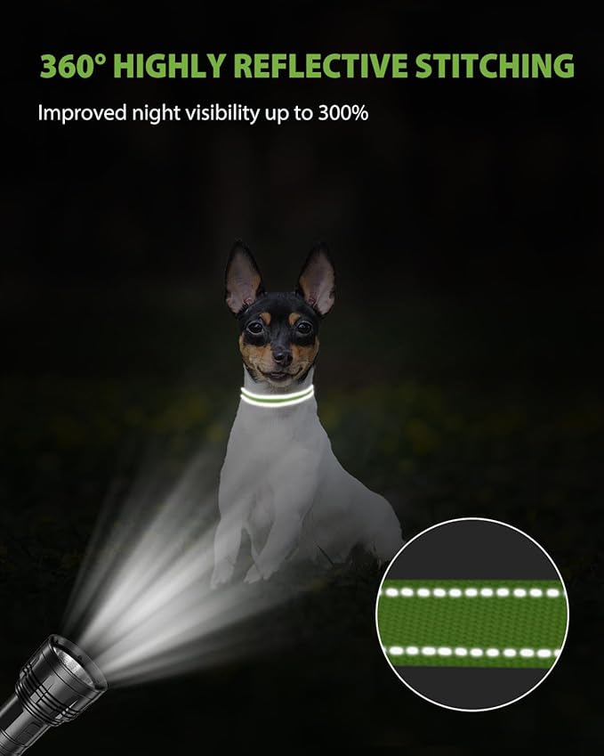 Joytale Small Dog Collar, Reflective and Adjustable Nylon Collar with Quick-Release Buckle, Lightweight No-Choke Design for Puppy and Extra Small Dogs, Green, XS