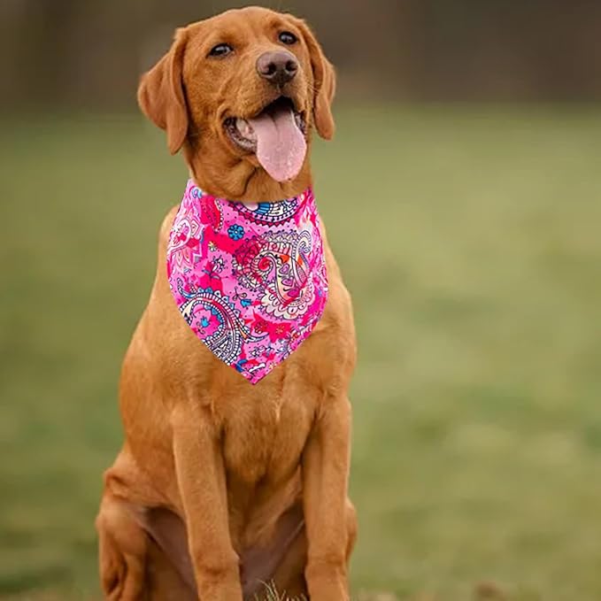 30 Pcs Paisley Dog Bandanas Bulk 33 Inche XL Stitch Dogs Bandanas Polyester Print One Side Bandana Grooming L