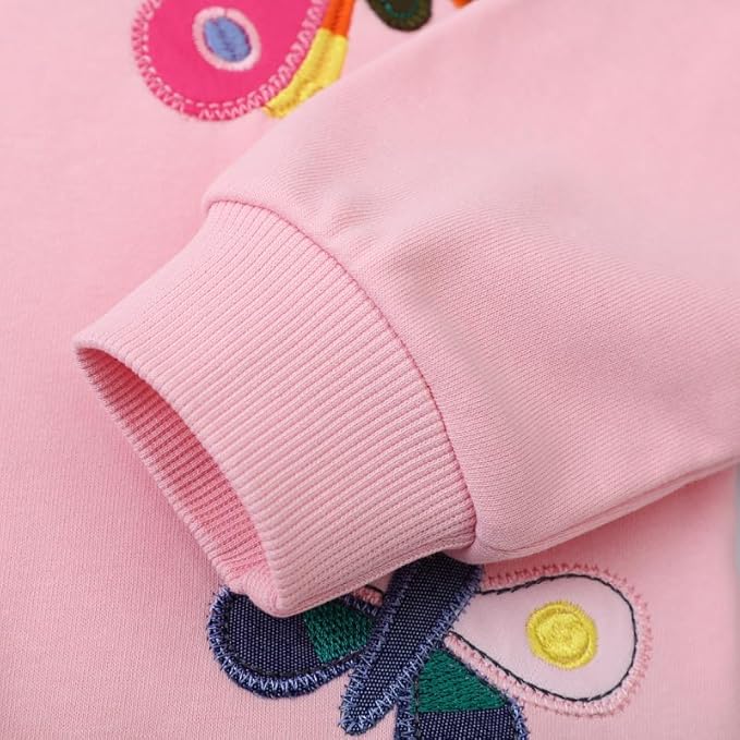 Toddler Baby Girls Cotton Sweater, Long Sleeve Crewneck Sweatshirt Pullover Kids Warm Clothing for Fall Winter