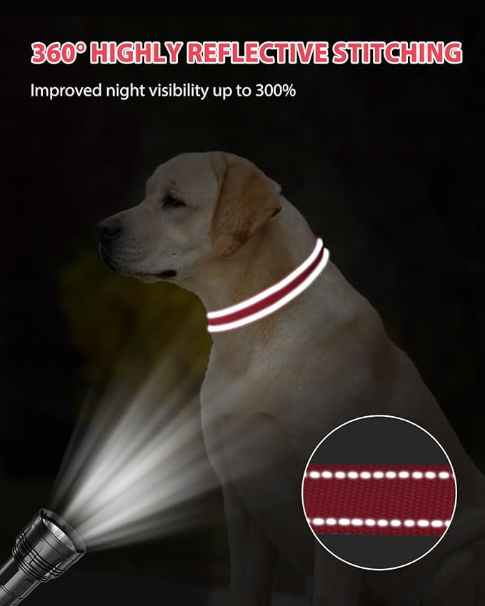 Joytale Reflective Dog Collar, Adjustable Nylon Pet Collar with Quick-Release Buckle for Medium Dogs, Red, M