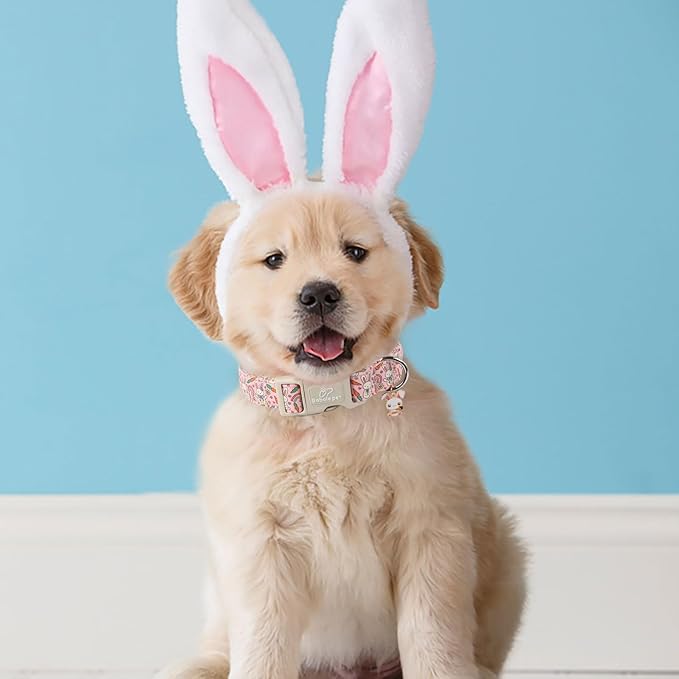 Easter Dog Collar for Medium Dogs - Pink Girly Bunny Dog Collars, Cute Girl Dogs Easter Collar, Adjustable Female Spring Holiday Pet Collars with Quick Release Buckle M