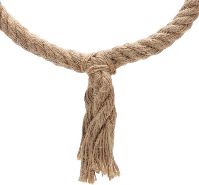 Bird Rope Swing Toy Parrot Climbing Perch Stand for Cockatiel Conure Cockatoo Parakeet Cage Hanging Decor (B: Round)