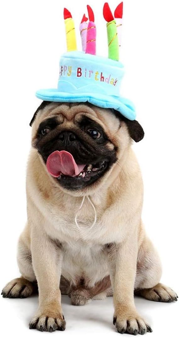 Cute Adorable Dog Cat Birthday Cake Hat Pet Cap Headwear Hat with 5 Color Candles Design Party Custom Accessory (One Size fits Most) (Blue)