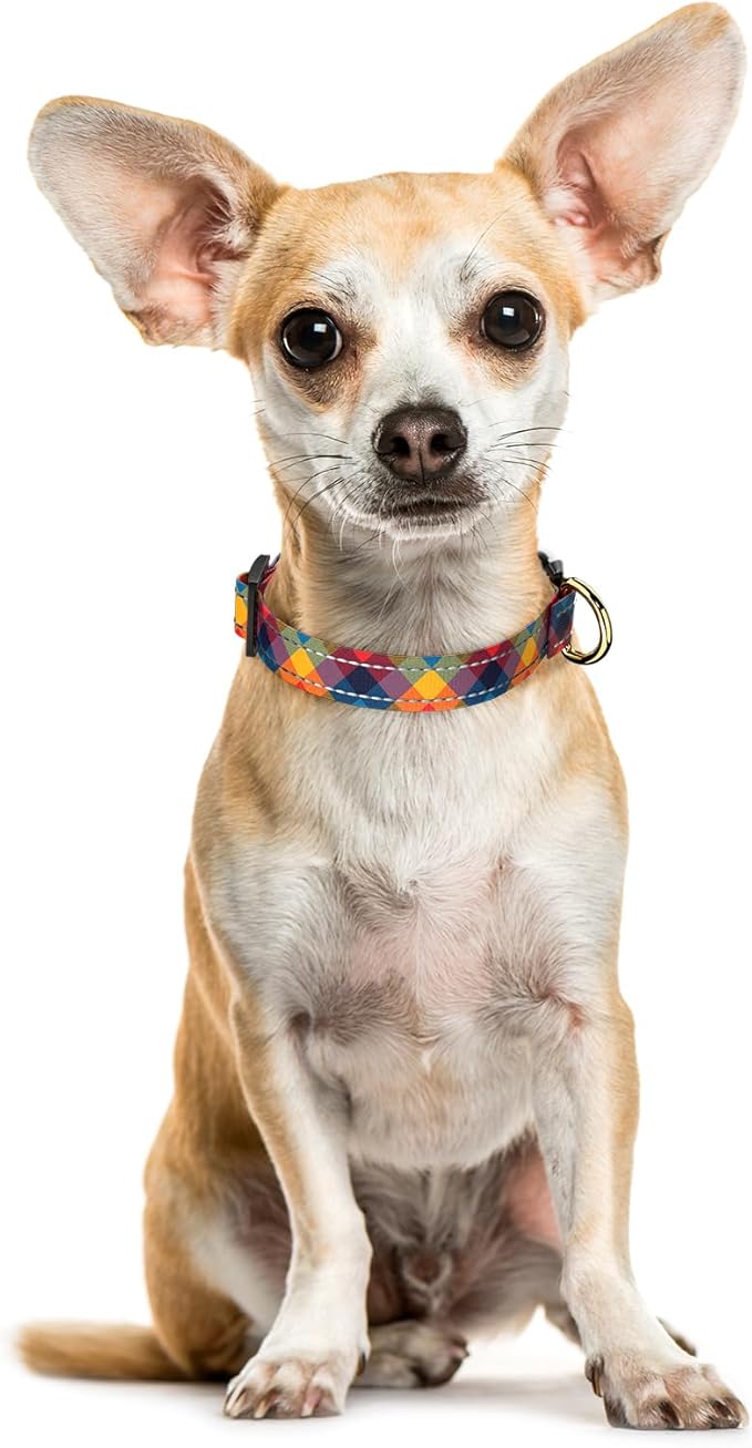 Reflective Dog Collar for Extra Small Dogs, Cute Boho Adjustable Heavy-Duty Nylon Puppy Collar for Boy and Girl Female, Soft Pet Accessories with Quick Release Buckle, Colorful Tartan