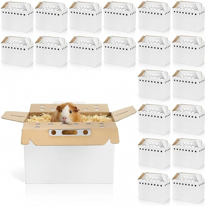 Coloch 20 Pack Cardboard Pet Carrier for Small Pets, 11x8x6 Inches Disposable Pet Transport Box for Pullets, Fowls, Hamsters, Gerbils, Reptiles, Guinea Pigs
