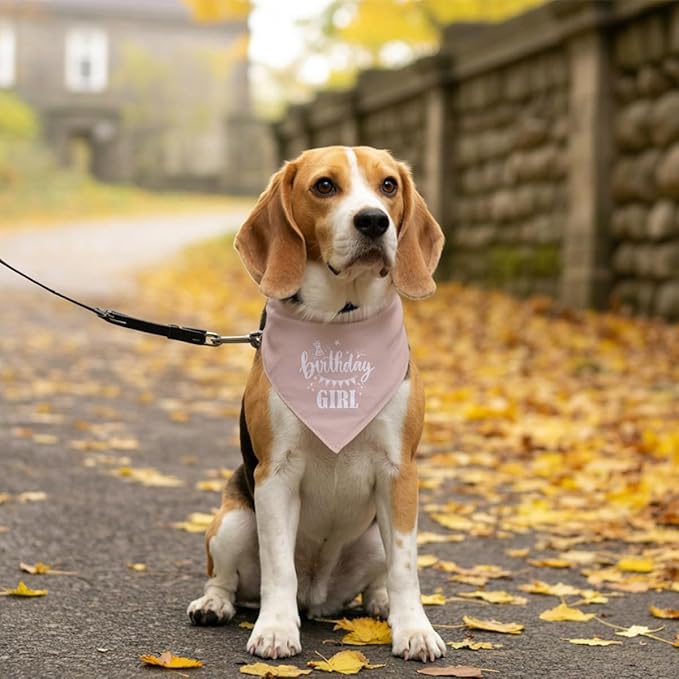 Birthday Girl Dog Bandana - Apricot Pink, Funny Cute Triangle Scarf, Pet Accessories for Small Medium Large Dogs, Gift for Dog Lover (D33)
