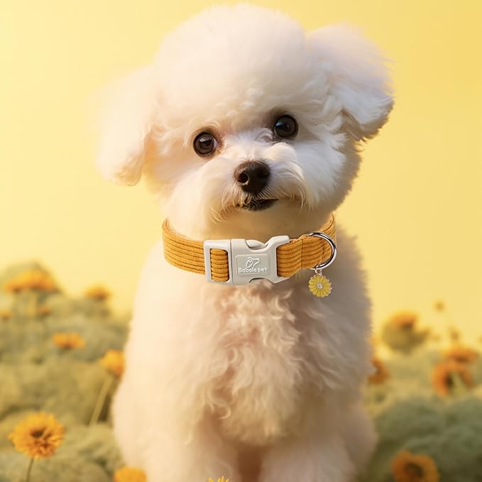 Cute Corduroy Dog Collar - Mustard Yellow Adjustable Dog Collars for Small Dogs 10-25lbs, Fade-Proof with Secure Snap & Little Charm, Christmas Birthday Gift, S