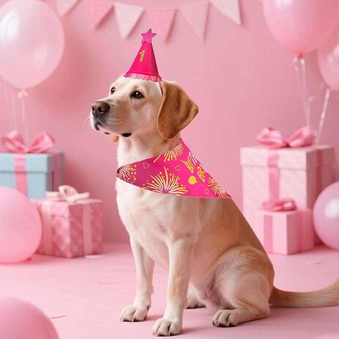Dog Birthday Decorations Rose Pink, Dog Birthday Party Supplies with Hat Bandana Numbers for Large Medium Girl Pets Puppy