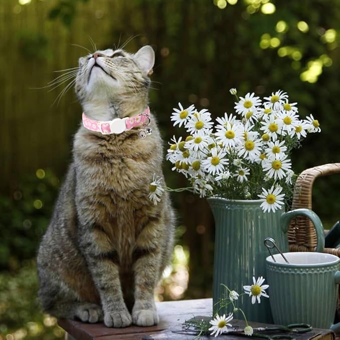 Lionet Paws 2pcs Pack Cotton Cat Collar,Breakaway Buckle with Daisy Pattern and Brand Pendant Cute Adjustable Cat Kitten Collar,Ideal for Girl Cats Boy Cats