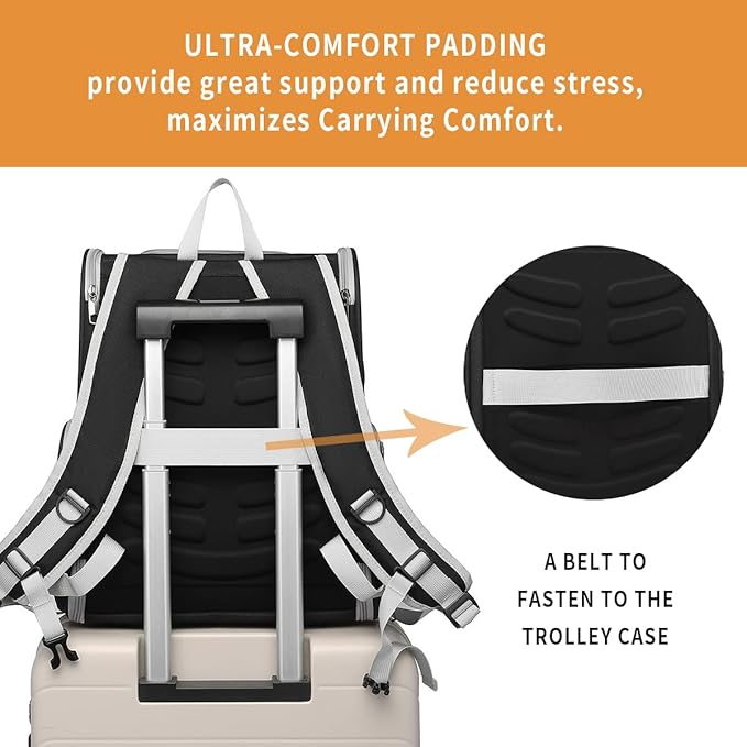 Cat Backpack Carrier for Small Dogs and Medium cat Puppy Kitten Bunny Pet Carrier Backpack Collapsible with Fully Ventilated Mesh with Safety Leash (Black, 12.9" L x 10.62" W x 15.5" H - M)