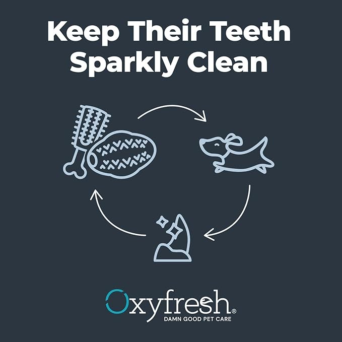 Oxyfresh Dog Dental Chew Toy - Best Dog Teeth Cleaning Toy – A Simple Bite and Brush Toy That Helps Remove Plaque, Cleans Teeth & Freshens Breath Without Brushing - Small