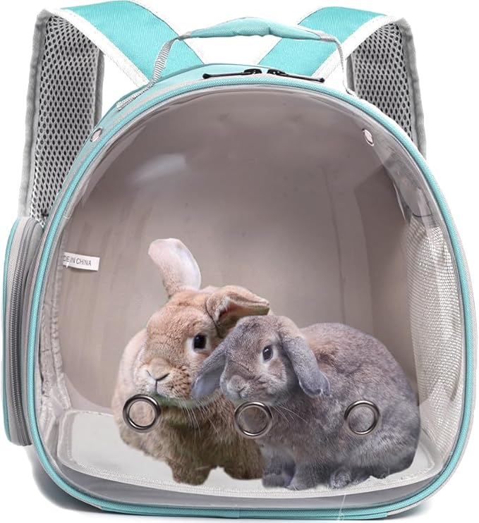 Guinea Pig Carrier Backpack with Soft Warm Mat Set,Lizard Backpack Carrier,Space Capsule Clear Bubble Window Astronaut Reptile Carrier Backpack for Bearded Dragon,Sugar Glider,Bunny