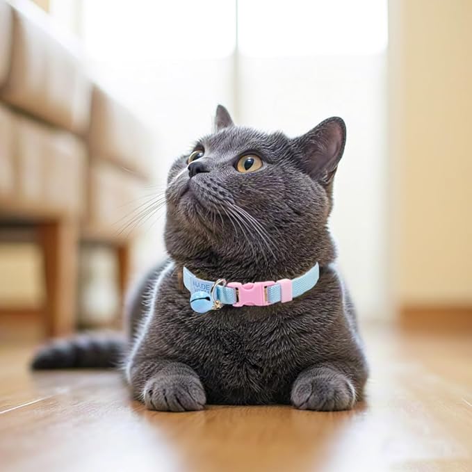 Elastic Cat Collar 2 Pack of Safety Quick Release Cat Collars with Bell Anti-Suffocation Kitten Puppy Collars(Pink+Blue)