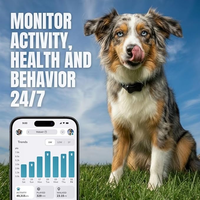 FitBark 2 Dog Activity Monitor | Health & Fitness Tracker for Dogs | Waterproof, Small & Leightweight (10 g) | Not a GPS Tracker