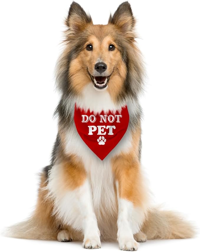 Do Not Pet Dog Bandana - Red Triangle Scarf, Funny Cute Pet Accessory, Gift for Dog Lover, for Small Medium Large Dogs (D37)