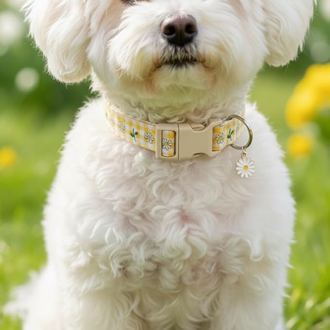 Cute Dog Collar, Yellow Plaid Dog Collar with White Floral Pattern, Spring Summer Design Floral Collar for Girls Boys Extra Small Dogs, Yellow Checkered Daisy, XS